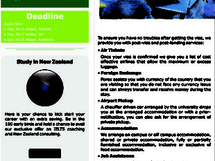 Rao Consultants mailer
