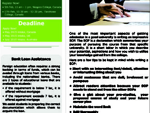 Rao Consultants mailer