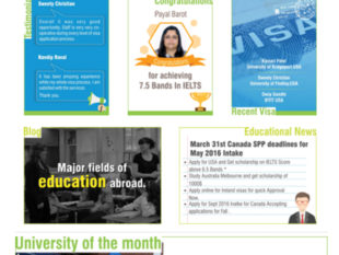 Rao Consultants mailer